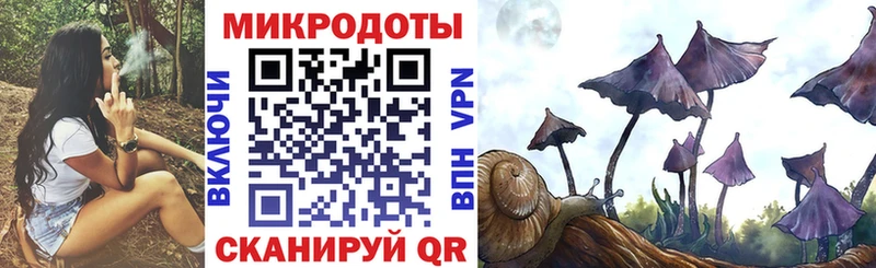 Псилоцибиновые грибы прущие грибы  закладки  hydra сайт  Сорск 